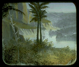 Pd04f.gif (52282 bytes)