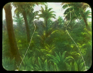 Pd04g.gif (50955 bytes)