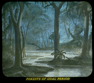 Pd05c.gif (54421 bytes)