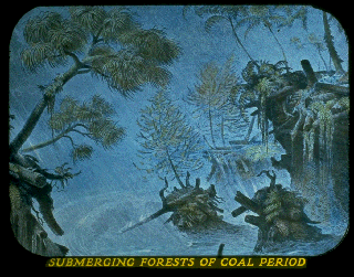 Pd05d.gif (53939 bytes)