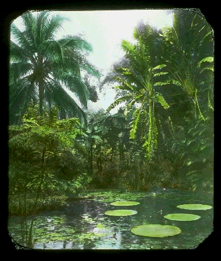 Pd05e.gif (76373 bytes)