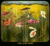 Pd06.gif (17920 bytes)