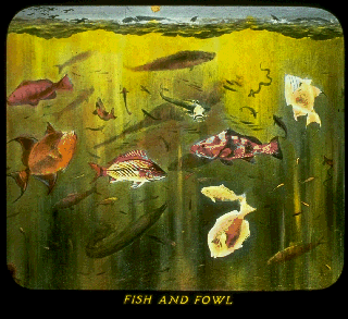 Pd06a.gif (59030 bytes)