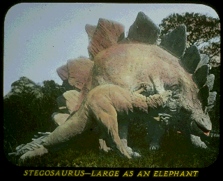 Pd06b.gif (45603 bytes)