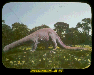 Pd06d.gif (40270 bytes)