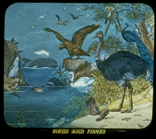 Pd06e.gif (64063 bytes)