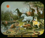 Pd07.gif (18417 bytes)