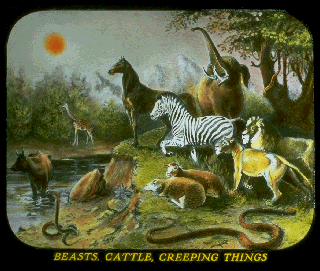 Pd07a.gif (60600 bytes)