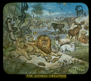 Pd07b.gif (66475 bytes)