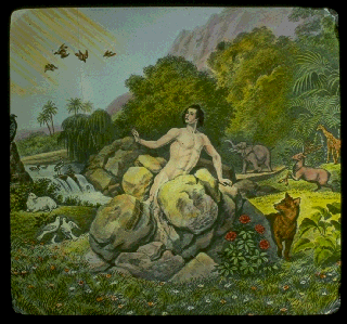 Pd07d.gif (65599 bytes)