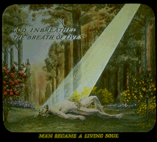 Pd07e.gif (56074 bytes)