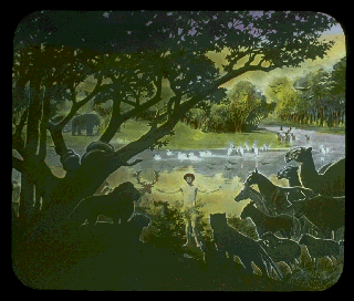 Pd07f.gif (44481 bytes)