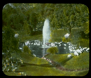 Pd08a.gif (57068 bytes)