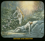 Pd09.gif (19971 bytes)