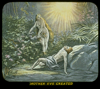 Pd09a.gif (61251 bytes)