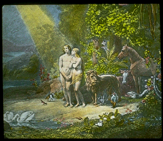 Pd09b.gif (71470 bytes)