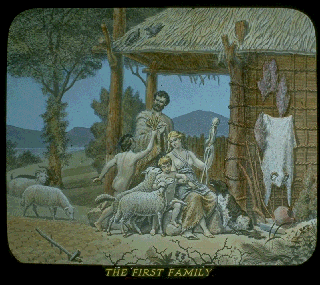 Pd09c.gif (57293 bytes)