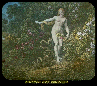 Pd10a.gif (58864 bytes)