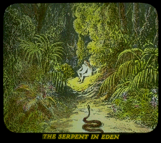 Pd10b.gif (72455 bytes)