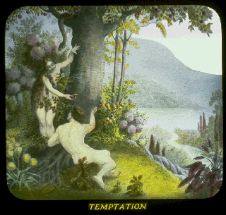 Pd10c.gif (66130 bytes)