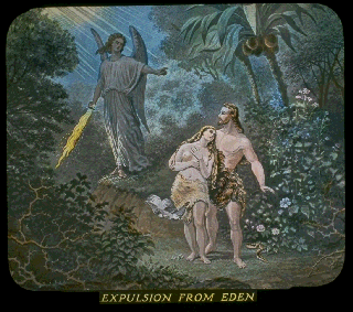 Pd11a.gif (37572 bytes)