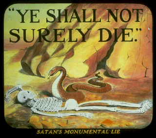 Pd11c.gif (37572 bytes)