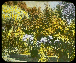 Pd11d.gif (37572 bytes)