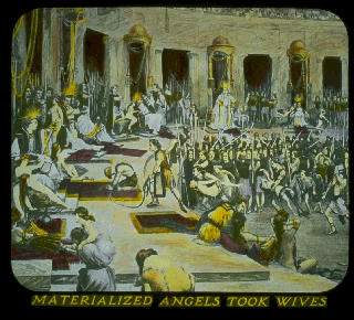 Pd15c.gif (37572 bytes)