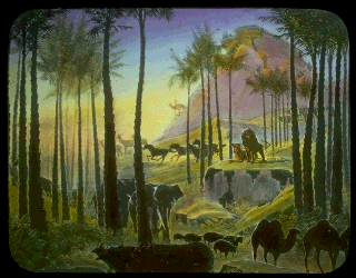 Pd19b.gif (37572 bytes)