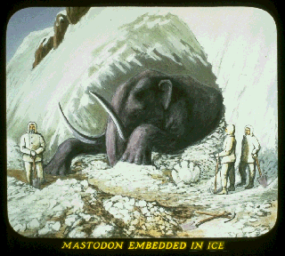 Pd19d.gif (37572 bytes)