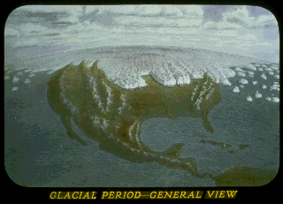 Pd19g.gif (37572 bytes)