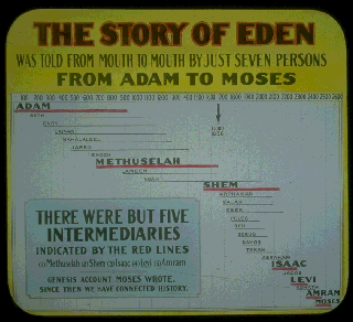 Pd21a.gif (38390 bytes)