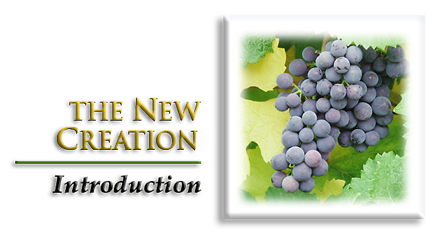 vol6.jpg (76769 bytes)